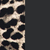 Leopard & Black Leopard & Black