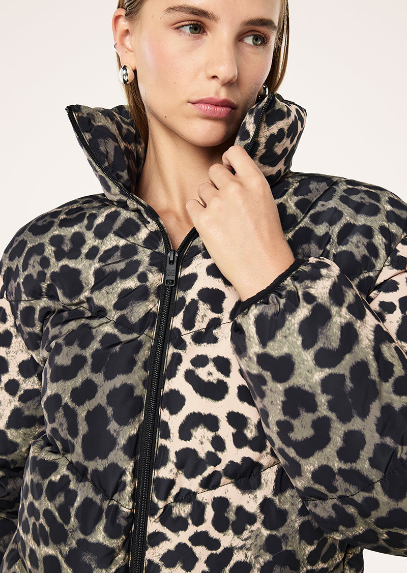 PIVOT+JACKET_262J168_LEOPARD+PRINT+_2_1