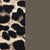 Leopard & Tarmac
