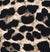 Leopard Print
