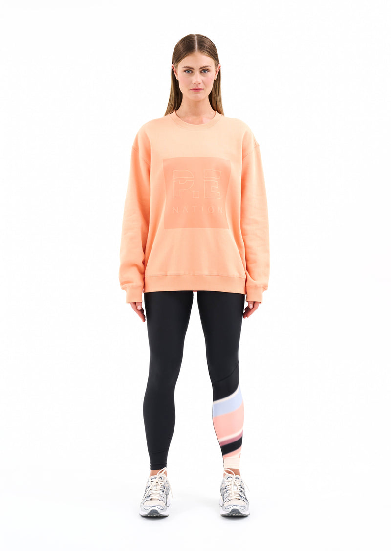 CUT SHOT SWEAT IN CANTALOUPE