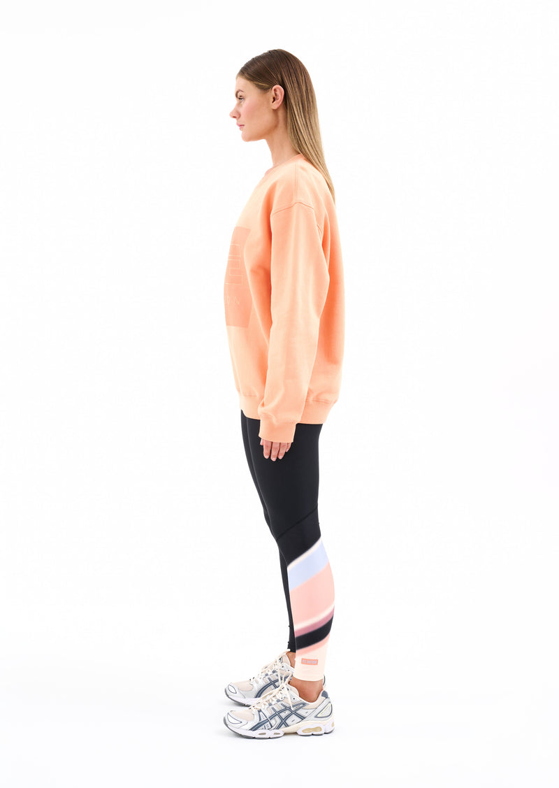 CUT SHOT SWEAT IN CANTALOUPE