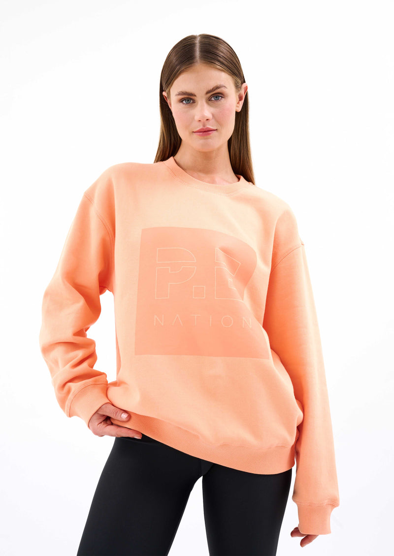 CUT SHOT SWEAT IN CANTALOUPE