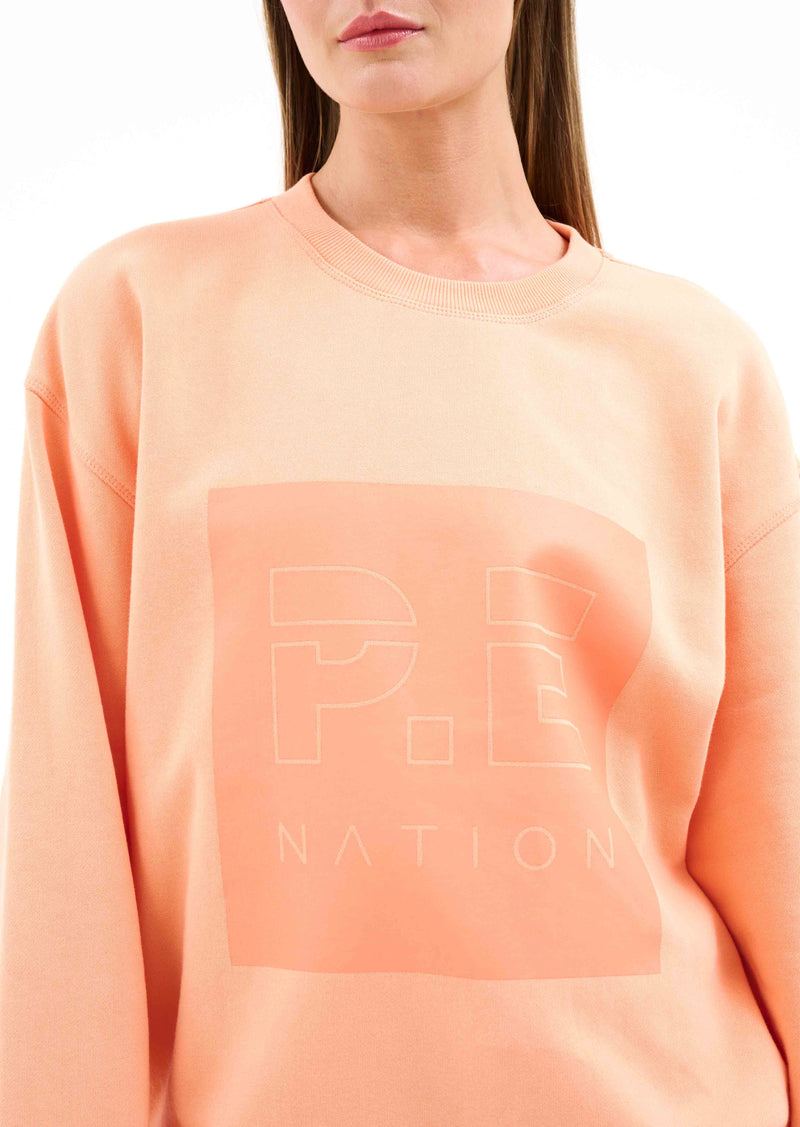 CUT SHOT SWEAT IN CANTALOUPE